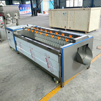 Multifunctionele wortelgroente- en fruitborstelreinigingsmachine voor groenteverwerkingslijnen