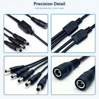 Câble Répartiteur d'Alimentation DC Personnalisé 1 2/3/4/5/6/8 Voies, Cuivre Nu Mâle/Femelle, PVC IP44, pour Appareils Électroménagers et Ordinateurs Industriels, 1*0.5