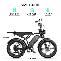 Vélo électrique tout-terrain 2026 R002 Plus avec pneus larges 20 pouces, batterie 48V 25A, moteur 250W, stock UE