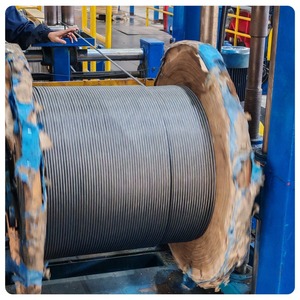 Nhà máy cung cấp trực tiếp nhiều Thông số kỹ thuật dây thép mạ kẽm dây cho xây dựng tùy chỉnh cắt chế biến uốn - Product Image 1