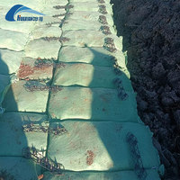 Sac géotextile robuste stabilisé aux UV pour les travaux de défense contre les inondations des bords de rivière