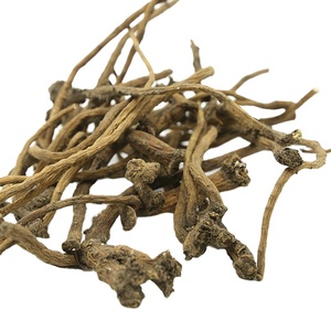 Rễ Bồ Công Anh Khô Được Cung Cấp Từ Nhà Máy, Taraxacum Tự Nhiên - Product Image 1