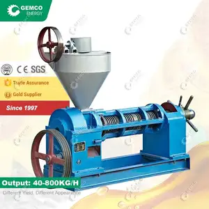 GEMCO YZS automatic cold press oil extractor alkanna tinctoria hemp moringa screw presss
