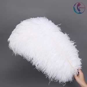 45 50 cm/18-20in màu nhuộm lớn chùm lông đà điểu trắng cho bên trang trí nội thất - Product Image 2