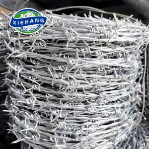 Alambre de púas de hierro, precio por metro, rollo de importación, bobina de acero recubierto de caucho, 50 kg, alambre de púas tipo Y, personalizado, duradero - Product Image 4