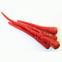 Zanahoria Híbrida F1 para Cultivo Profesional, 99% de Pureza, 85% de Germinación, Alto Potencial de Rendimiento, Excelente Uniformidad de Raíces