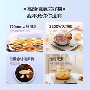 Table de cuisson à induction Midea, simple foyer, 2200W, élégante, dorée, cuisson programmée, série Platinum MC-E22B21 - Product Image 3