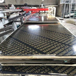 Pannello in compensato fenolico impermeabile con logo speciale e rivestimento in film - Product Image 6