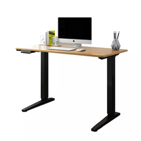 Table d'ordinateur ergonomique et moderne, bureau sur pied à Double moteur, bureau sur pied électrique réglable en hauteur, bureau de poste de travail