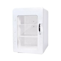 Réfrigérateur portable pour voiture à double zone 4L, mini congélateur 12V 24V