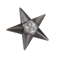 Épingle de revers Unique et délicate plaquée or avec Logo personnalisé Offre Spéciale, étoile de mode creuse pour vêtements