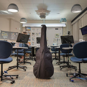 Housse de violon souple avec sangles réglables, imperméable, 4/4, pour voyage, plusieurs poches, emballage épaissi, avec étui de violon sécurisé - Product Image 1