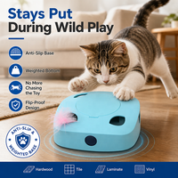 Modernes Rutschfestes Langlebiges Interaktives Trainings-Katzenspielzeug - Kippsicher & Robust für Energiegeladene Katzen & Hunde Großhandel OEM
