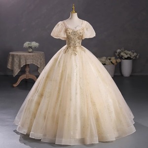 Champagne Puff Sleeve Performance Dress Women Stage Wear Tutu Skirt College Exam Solo Singing Coming Of Age Ceremony Hostess - Product Image 2