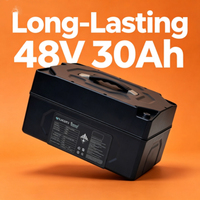 Paket Baterai LiFePO4 48V 30Ah untuk Penggunaan Sehari-hari pada Kendaraan Listrik 2 Roda/3 Roda, Baterai Lithium Iron Phosphate Bebas Perawatan