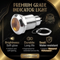 CHYF Luz indicadora 12mm 1/2 "Impermeable IP67 Lámpara de señal de metal 12V AC/DC LED Lámpara de tablero piloto