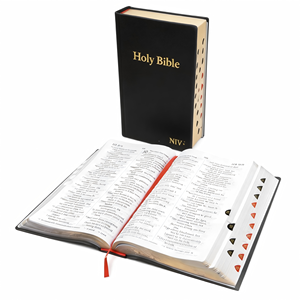 Fabrika Özel Üretim PU Deri İncil La İncil Kral James Fransızca İncil Baskısı - Product Image 4