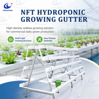 Système de serre d'agriculture verticale professionnel épaissi avec système NFT et trous de plantation pour légumes