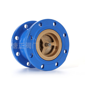 Válvula de Retención Silenciosa Hc41x 16q de Hierro Dúctil con Sello Suave Tipo Brida para Uso con Agua a Temperatura Normal - Product Image 2