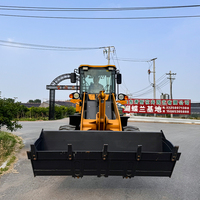 Chargeuse sur pneus diesel LTMG CE ISO Mini 2 tonnes 2000 kg 4x4 avec moteur chinois puissant