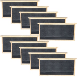 10 cái nghề nuôi ong Hive sâu khung với nhựa tấm nền tảng màu đen, langstroth Bee khung Kit - Product Image 1