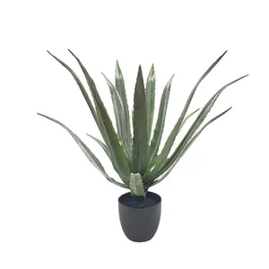 Ready to ship UV Protection 63 cm Soft Touch Aloe 19 Leaves In Pot