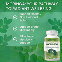 OEM ODM Poudre de feuilles de Moringa verte 100% naturelle pure en capsules, riche en nutriments et en antioxydants