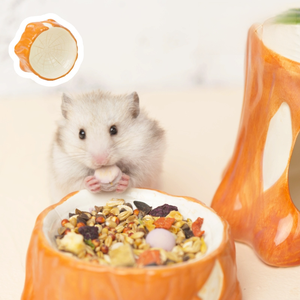 Nichoir en céramique pour hamster, modèle ours doré, pour l'été, rafraîchissant et apaisant, pour soulager la chaleur. Maison en glace pour hamsters. Fournitures pour hamsters. - Product Image 4