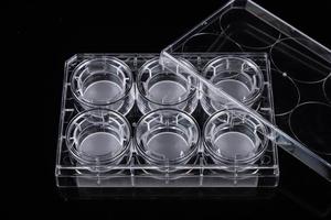 Insert Transwell Membran PET 1um untuk Plat Kultur Lab <span class=keywords><strong>6</strong></span>-well, Insert Kultur Sel - Product Image 2