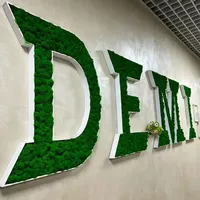 Logo mural vert lumineux 3D personnalisable en LED, lettres en herbe et en mousse, publicité et décoration, panneau d'affichage d'entrée
