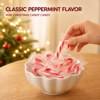 Bâtonnets de bonbons de Noël, bonbons durs à la menthe, mini-bonbons assortis aux saveurs de fruits, sac en vrac pour cadeau d'enfants