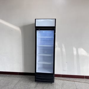 ビジネスニーズに応える信頼性の高いコカ・コーラ冷蔵庫ガラス扉で効率