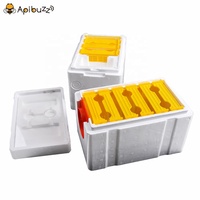 Ruche en polystyrène pour abeilles, boîte d'allumettes à 2 couches, Queen abeille miel, équipement pour l'apiculture