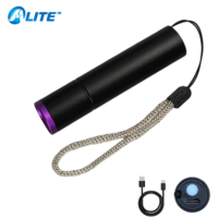 Senter UV 365nm USB-C Isi Ulang Filter Hitam Detektor Noda Kering Urine Hewan Peliharaan Logo OEM Senter UV Mini