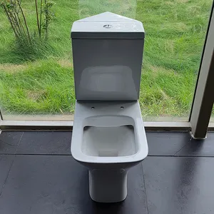 China Cheap Nano-glazed Bathroom Ceramic Rimless P-Trap Two Piece Toilet WC