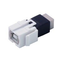 Meistverkaufter USB-B-Buchsen-Keystone-Koppler, vergoldet, Durchgangskoppler, Einsteckmodul für Wandplatte, USB 2.0, 480 Mbit/s, Kupfer, ABS