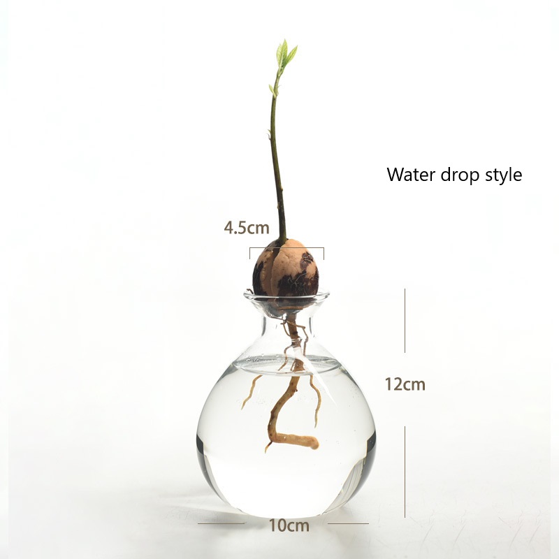 Water Drop Avocado Vase (without seeds)