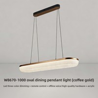 Nouvelle lampe suspendue décorative en forme d'arc, LED acrylique, adaptée aux projets haut de gamme, hôtel, villa, décoration de salon
