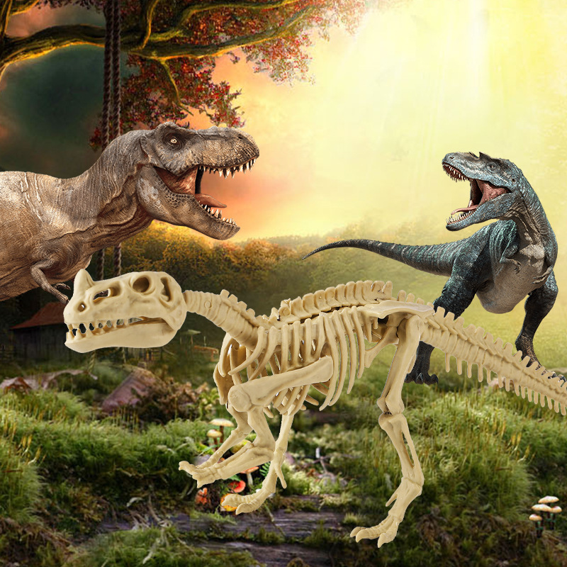 Squelette cératopsien + manuel