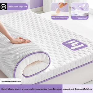 Vente directe usine : Surmatelas en mousse <span class=keywords><strong>de</strong></span> latex souple, matelas simple en éponge pour mobilier <span class=keywords><strong>de</strong></span> maison, chambre et dortoir - Product Image 5