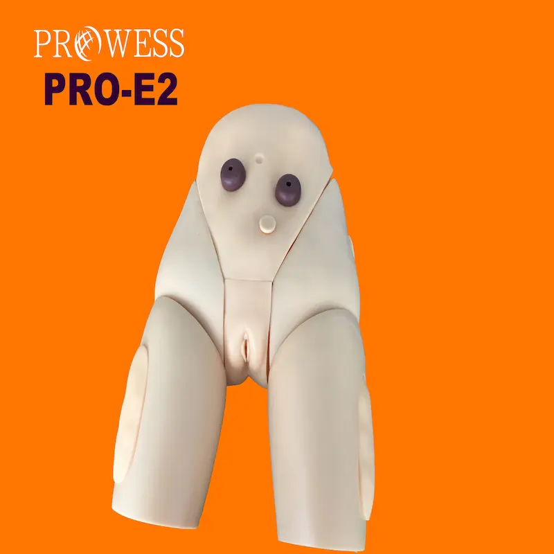 PRO-E2 de piel de alta calidad para mujer, modelo médico urinario para entrenamiento de enfermería