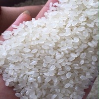 Riz Calrose à grains moyens du Vietnam / Camolino séché doublement poli à texture dure pour l'exportation sous marque privée OEM - Mme Daisy