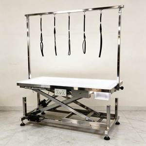 Table de toilettage pour animaux de compagnie avec éclairage LED personnalisable, station de toilettage électrique imperméable et antistatique pour la maison et le salon - Product Image 1