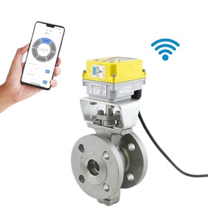 Vanne AIBO, type acier inoxydable et fonte, commande WiFi en option. - Product Image 1
