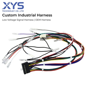 Produsen Kabel Kustom Perakitan Kabel Harness Industri Kustom Kabel Sinyal Tegangan Rendah Loom Kabel Harness Multi-inti - Product Image 1