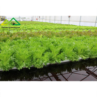 Système hydroponique commercial à flottaison large (DWC) |   Kit complet de serre pour la production rapide de légumes à feuilles vertes et de micro-légumes