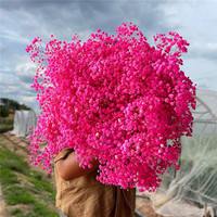 Offre Spéciale : Fleurs de Gypsophile Séchées et Préservées pour Décoration Intérieure et Extérieure, Mariages et Maison