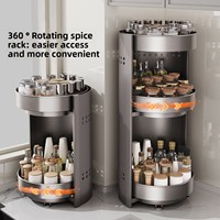 Étagère à épices rotative en métal sur pied, double couche, pour comptoir de cuisine, rangement d'angle pour condiments