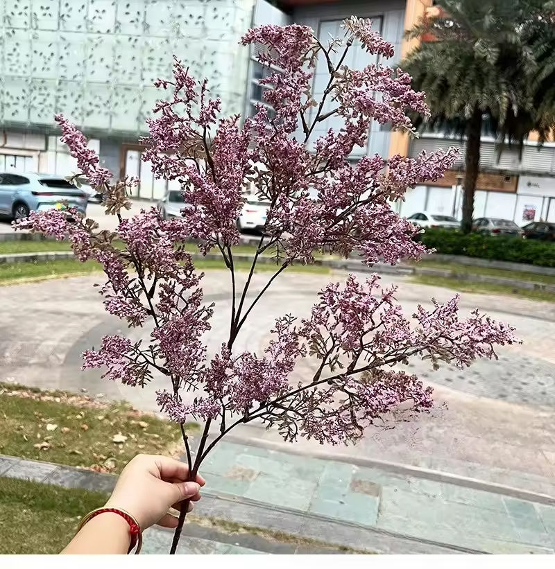 สีม่วงแห่งฤดูใบไม้ร่วง