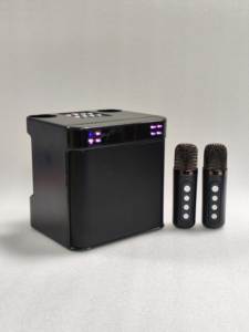 Altavoz Inalámbrico para Sistema de Karaoke al por Mayor, OEM ODM, con Luces LED RGB y 2 Micrófonos para Fiestas y Uso en Exteriores - Product Image 3